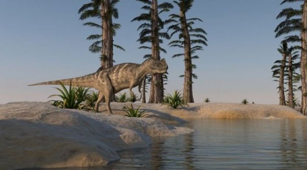 Lampka nocna i projektor slajdów z Dinozaurami