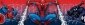 Border SpiderMan 
