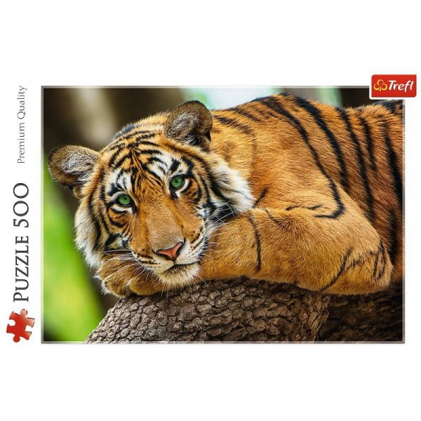 Trefl Puzzle 500 elementów Portret tygrysa