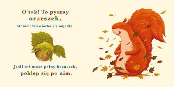 Nasza księgarnia Książeczka Rok w lesie. Wiewiórka