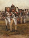 Waterloo: Napoleon's Last Army