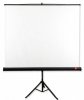 Avtek Ekran na statywie Tripod Standard 175 (1:1, 175x175cm, powierzchnia biała, matowa)