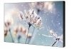 Monitor Digital Signage profesjonalny SAMSUNG VM46B-U 46 cali Video wall Matowy 24h/7 