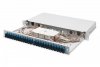 Digitus Przełącznica światłowodowa/panel krosowy z wyposażeniem 19 cali 1U, 24x SC duplex, OS2, pigtaile, adaptery, tacki, wysuwany, Szary