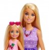 Mattel Lalka Barbie Rodzina i przyjaciele siostry na pikniku