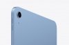 Apple iPad WiFi + Cellular 11 cali 256 GB Niebieski