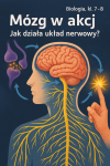 Mózg w akcji – jak działa układ nerwowy? (Biologia, kl. 7–8) Mózg w akcji – jak działa układ nerwowy? (Biologia, kl. 7–8)