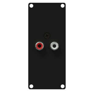 CAYMON CASY132/B CASY 1 space with 2x RCA to 2-pin terminal block Black version