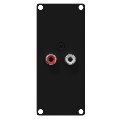 CAYMON CASY132/B CASY 1 space with 2x RCA to 2-pin terminal block Black version