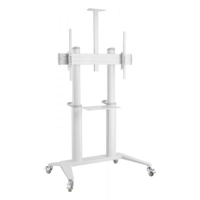 Stojak mobilny Techly 70 cali-120 cali, 140kg z półką, biały