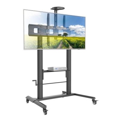 Stojak mobilny Techly do tablicy interaktywnej 52 cale-110 cale, 120kg z półką