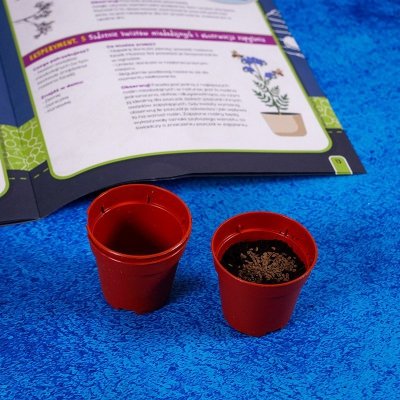 Lisciani Zestaw I'M A Genius - Laboratorium pszczół