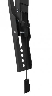 Neomounts by NewStar Uchwyt ścienny WL35-550BL16  40-75 cali