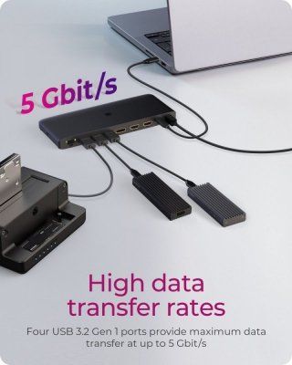 IcyBox Stacja dokująca IB-DK2416-C 11in1,HDMI,DP,USB,LAN