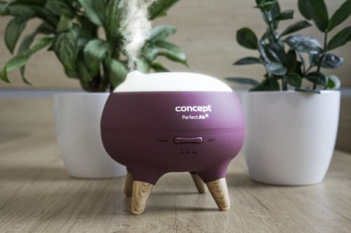 Concept Dyfuzor zapachu Concept Perfect Air Berry DF1011