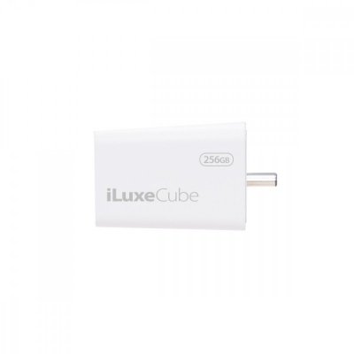 Patriot iLuxe Cube C 256GB USB 3.2 Gen 1 Type C
