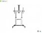 Stojak mobilny Techly 60 cali-100 cali, 100kg regulowany 