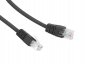 Gembird Patch cord Kat.6 UTP 0.25m czarny 