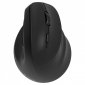 YENKEE Mysz bezprzewodowa ergonomiczna praworęczna,akumula<br />tor Dual WL+BT 