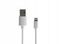 Natec Kabel Lightning (M)->USB-A(M) 1m MFI Prati Biały 