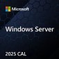 Microsoft OEM Win CAL 2025 Device PL 1Clt EP2-25232 