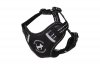 All For Cats Szelki Sportowe XS Czarne