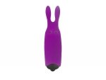 Adrien Lastic Stymulator Wibrator Bullet Pocket Vibe Rabbit Purple