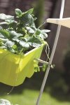 Blumenkasten Balkonkasten crown 600 weiß
