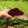 Kokosfasern Blumenerde aus Kokosfaser Kokosnussschalenfasern Sack 5L Kokoserde