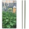 Pflanzstab Rankhilfe Pflanzenstütze Pflanzstäbe 180cm 20 Stk