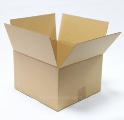 20x Faltkarton Karton 250x240x150