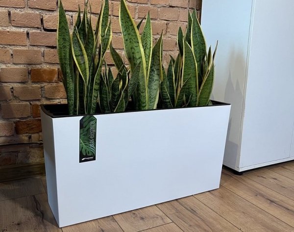 Blumenkasten Blumentopf Blumenkübel Pflanzgefäß Matt 77cm mit Ablauf - Anthrazit
