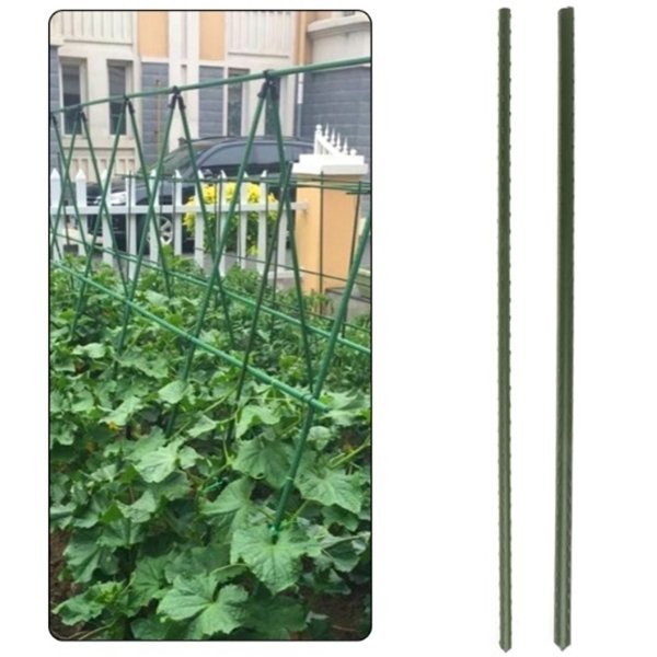 Pflanzstab Rankhilfe Pflanzenstütze Pflanzstäbe 150cm 50 Stk
