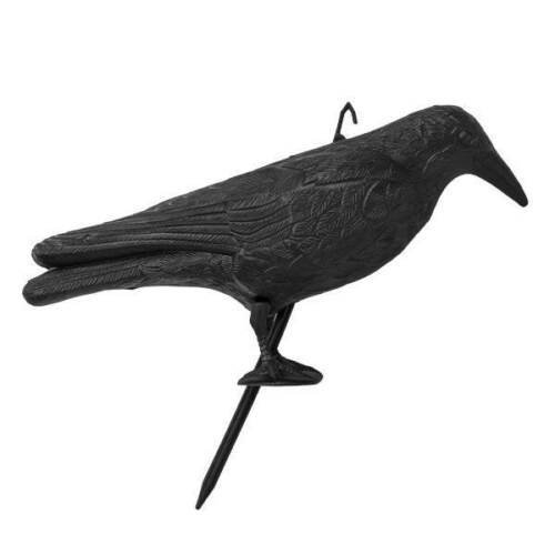 3x Taubenschreck Vogelscheuche Taubenabwehr Vogelabwehr - stehende Krähe