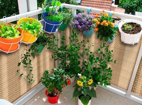 Sichtschutzmatte Balkonblende Balkonverkleidung Zaunblende Rattan - 90 cm Stroh