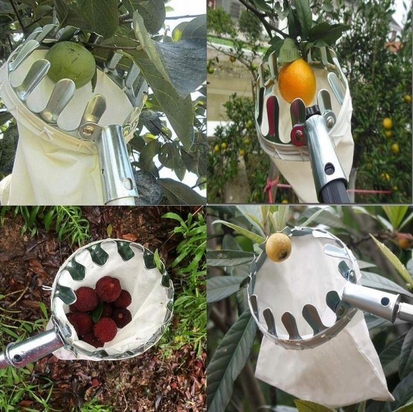 Obstpflücker Apfelpflücker Obsternter Kirschpflücker Sammelkorb Stiel 150cm