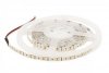 Taśma LED 12W neutralna 2835 120LED/m HIGH LUMEN 5M