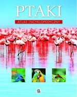 Ptaki. Atlas encyklopedyczny