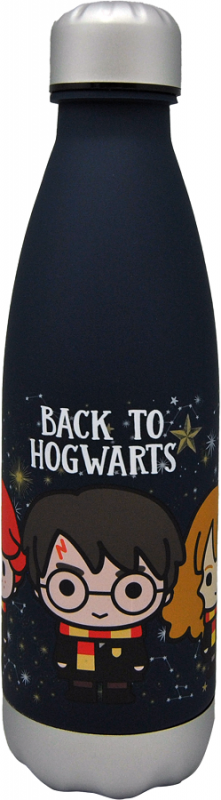 Bidon 650ml Harry Potter HP072
