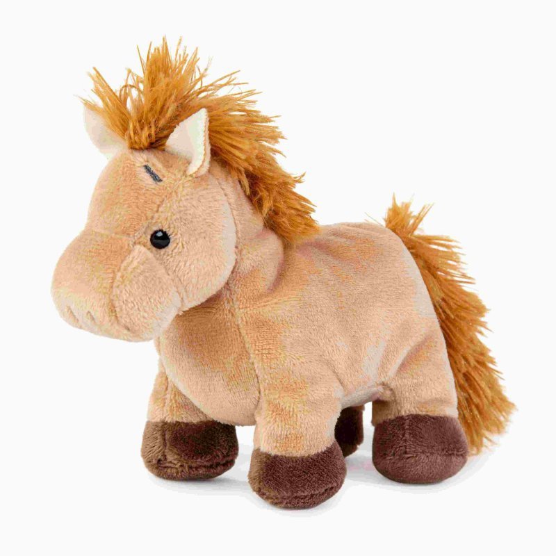 Przyjaciel niebieskiego noska Kucyk Dancer