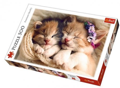 Puzzle 500 elementów Śpiące kotki