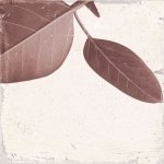 Keros Decorado Botanic Fall 25x25