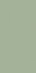 Paradyż Feelings Green 29,8x59,8