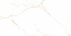 Carrara Gold Poler 60X120