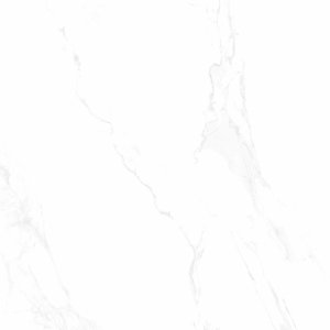 Ecoceramic Marshall White Mat 120x120