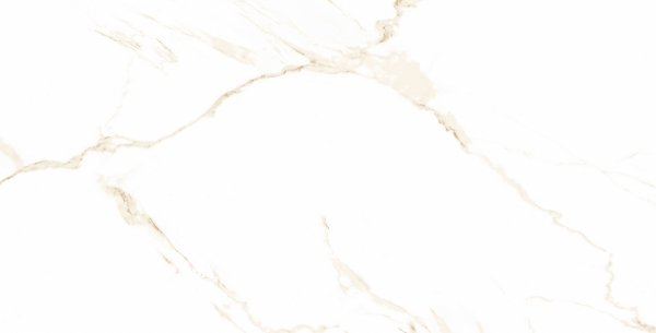 Carrara Gold Poler 60X120