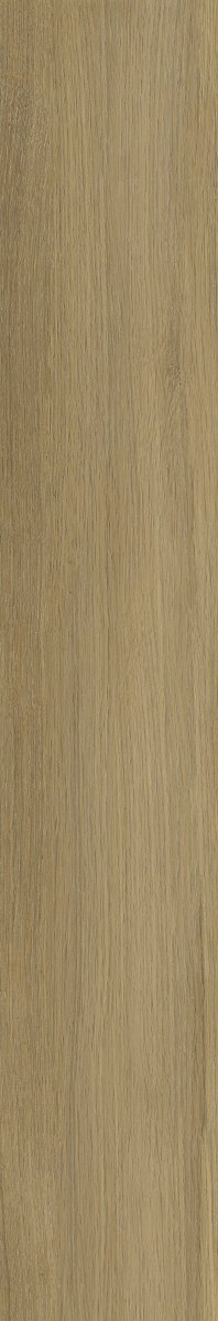 Paradyż Prettywood Gold 19,8x119,8