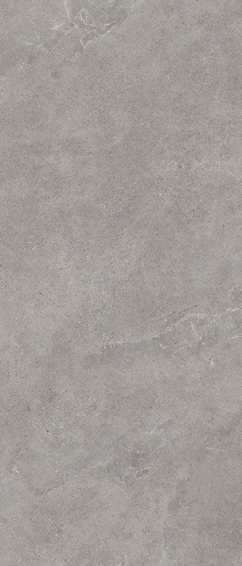 Paradyż Authority Grey 119,8X279,8