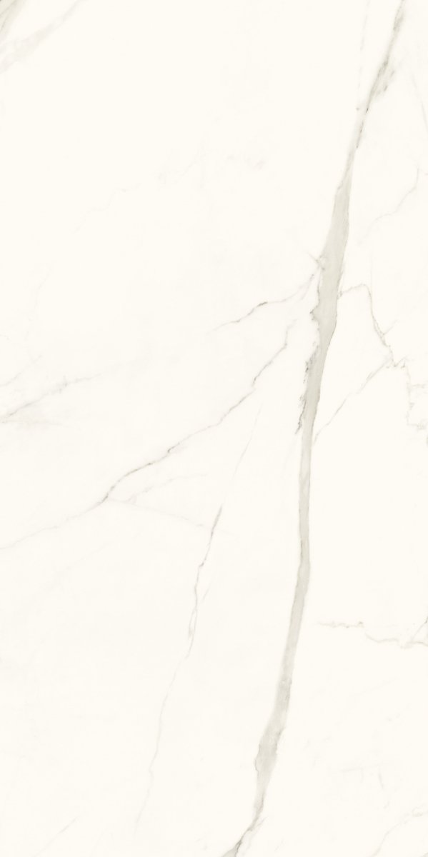 Paradyż Calacatta Mat 119,8x279,8