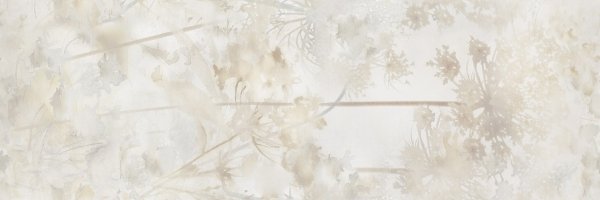 Ceramica Bianca Miss Fine Dekor 30x90